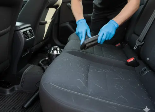 Pet hair removal service for clean upholstery and carpets