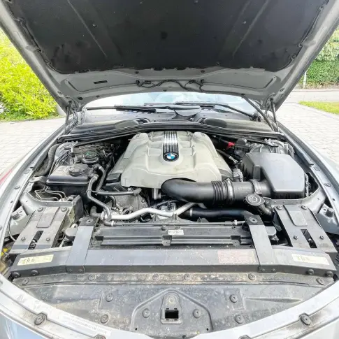 Mobile exterior car detailing before wash showing road grime and bugs