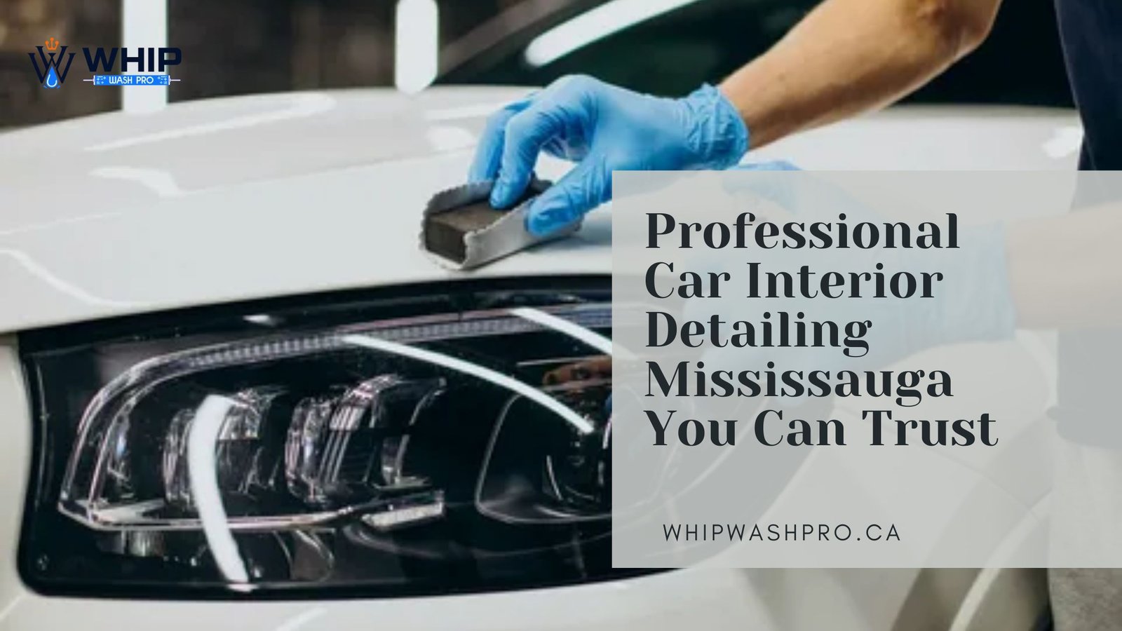 Professional Car Interior Detailing Mississauga You Can Trust