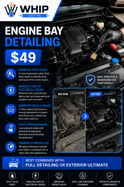 Professional engine bay detailing and degreasing service in Mississauga by Whip Wash Pro