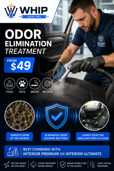 Professional car odor elimination treatment service in Mississauga by Whip Wash Pro