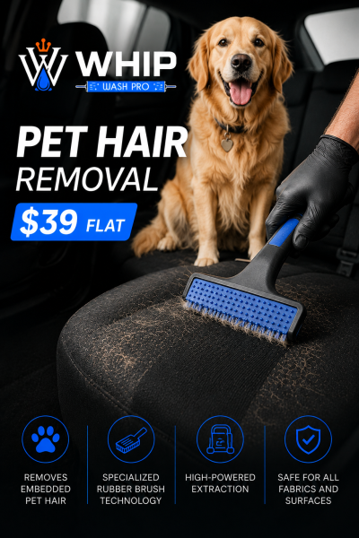 Professional pet hair removal service for car interiors in Mississauga by Whip Wash Pro