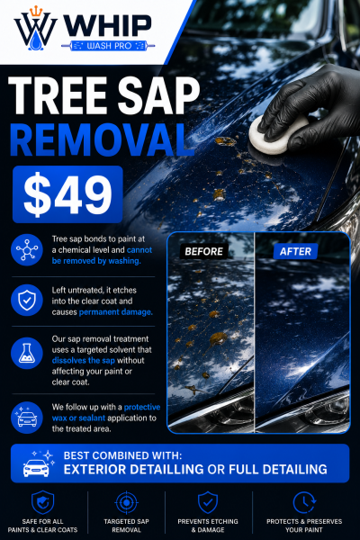 Professional tree sap removal service for vehicle paint protection in Mississauga