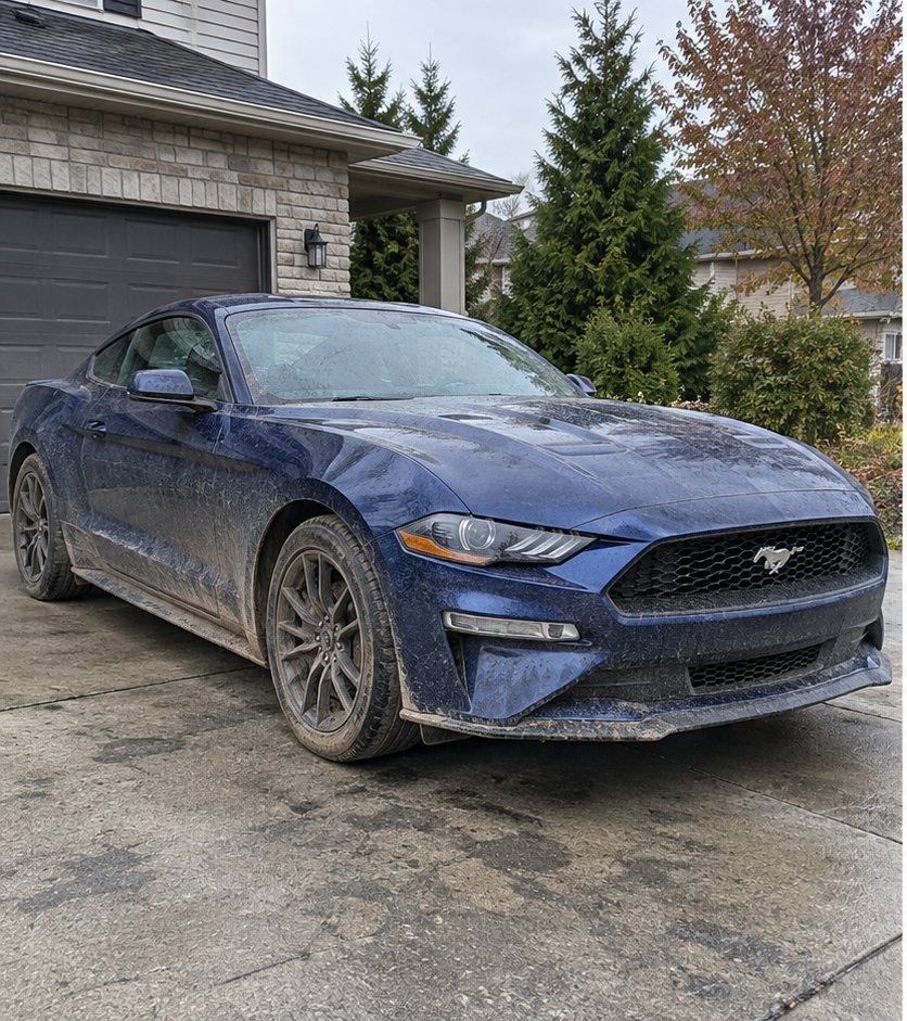 Blue Ford Mustang front end covered in dried mud and dirt spatter on a driveway