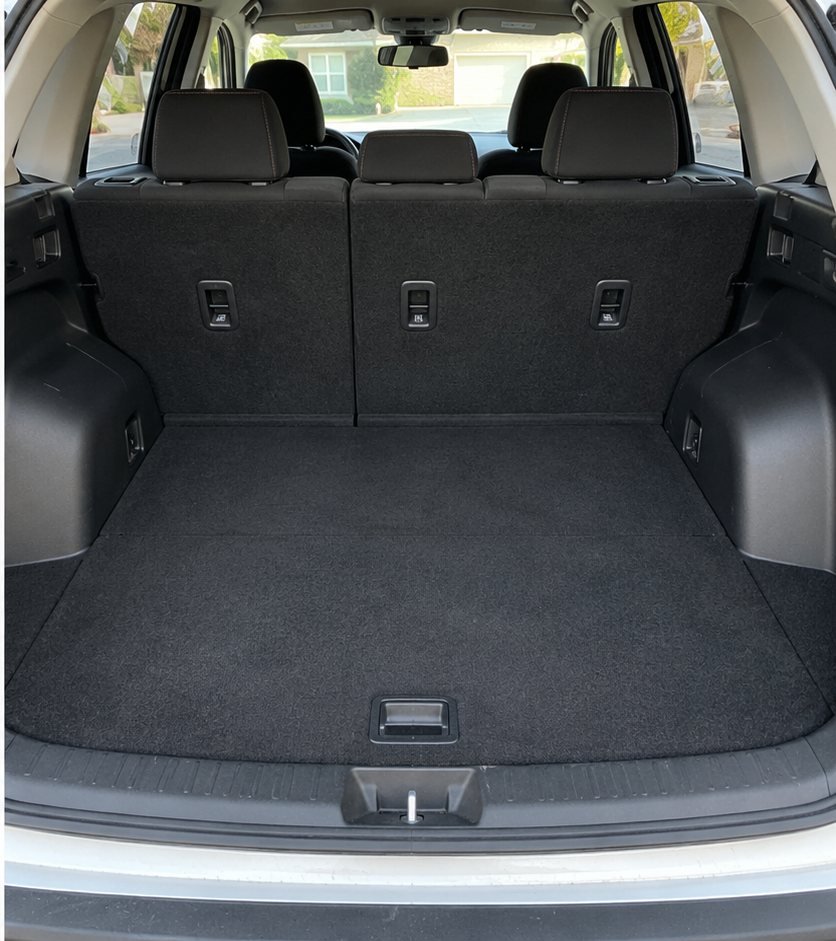 The same SUV rear cargo area carpet with all pet hair and debris fully removed