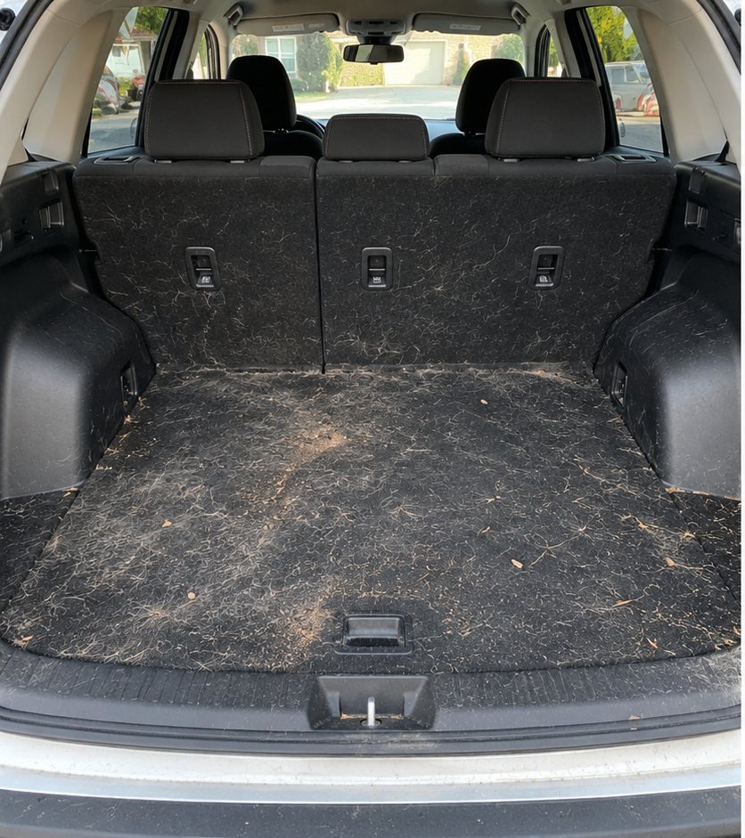 SUV rear cargo area carpet covered in embedded pet hair and loose debris